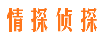 三门侦探公司